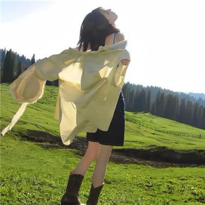 最新版：镇北王